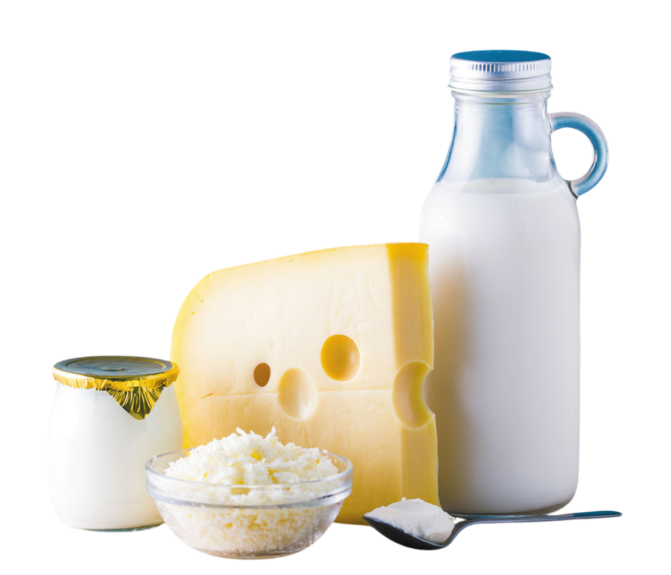 لبنیات 